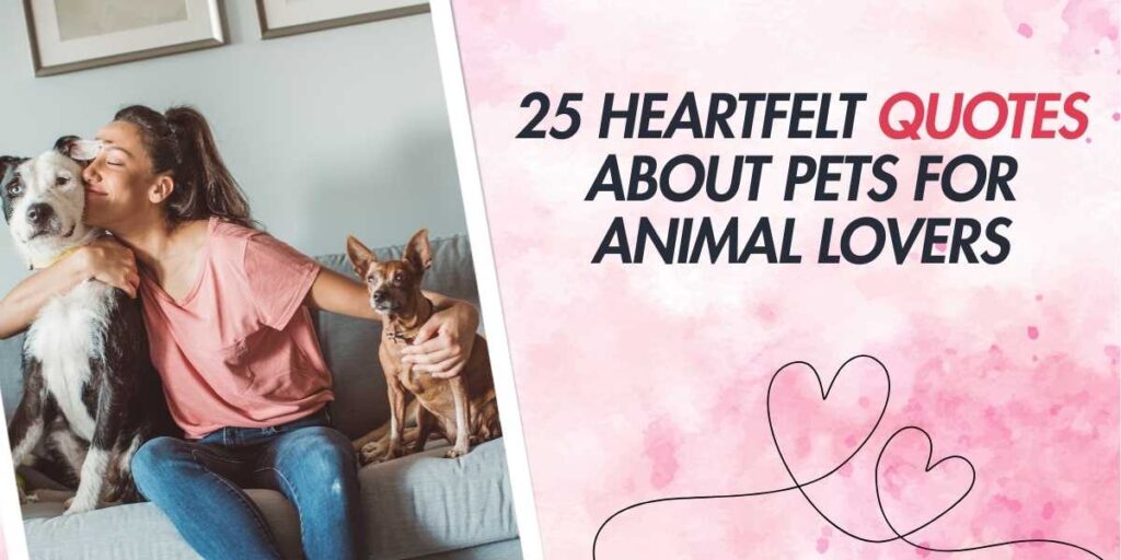 25 Heartfelt Quotes About Pets for Animal Lovers